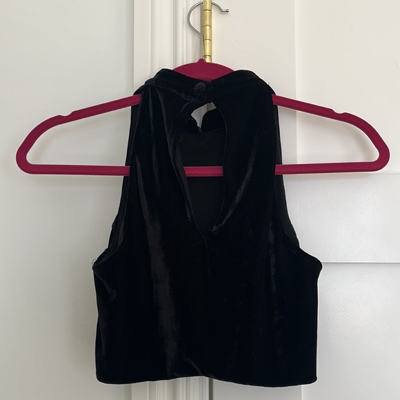 FOR LOVE & LEMONS velvet crop top; size: S; side zipper and button on back - Picture 2 of 2